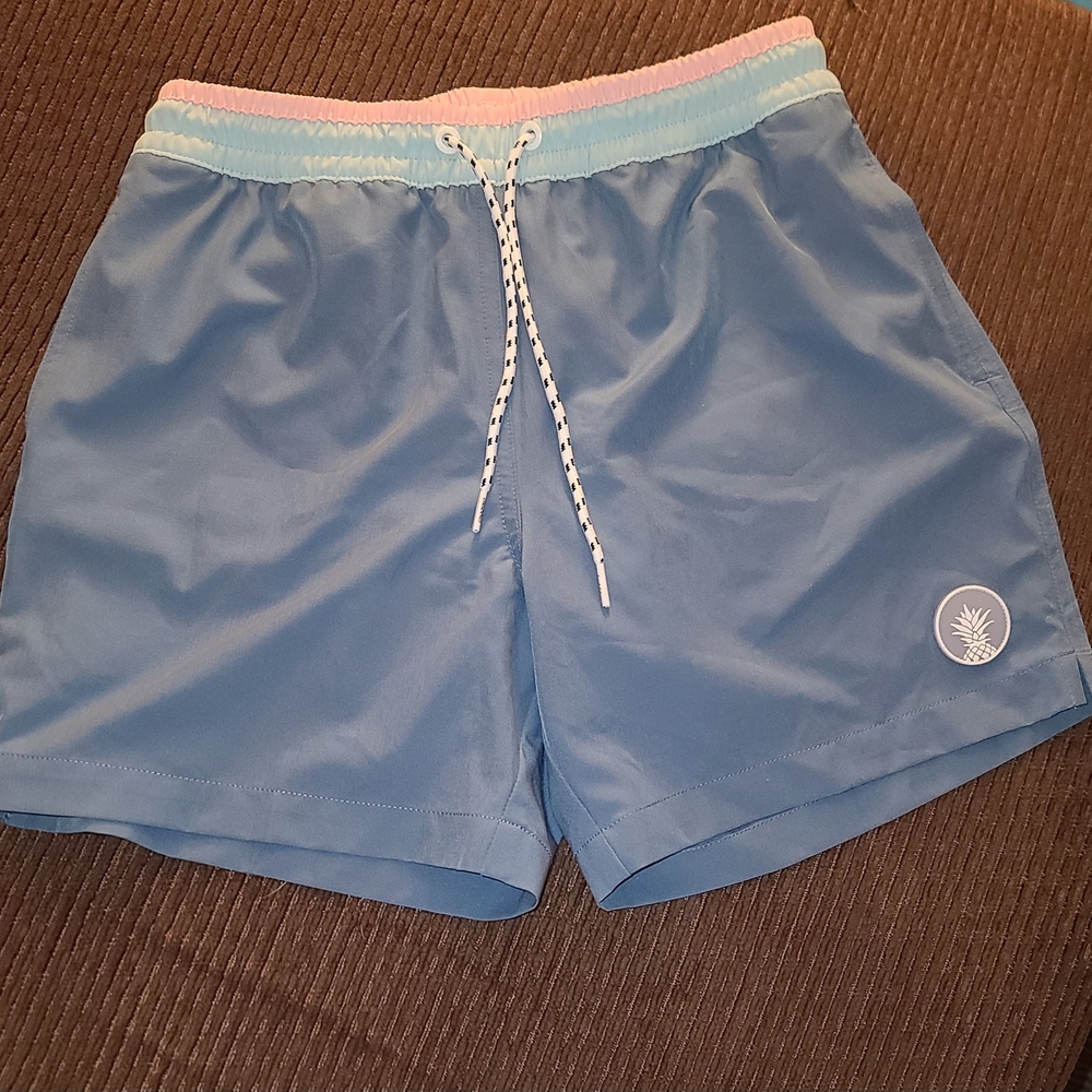 Chubbies Pink and Blue Swim Shorts